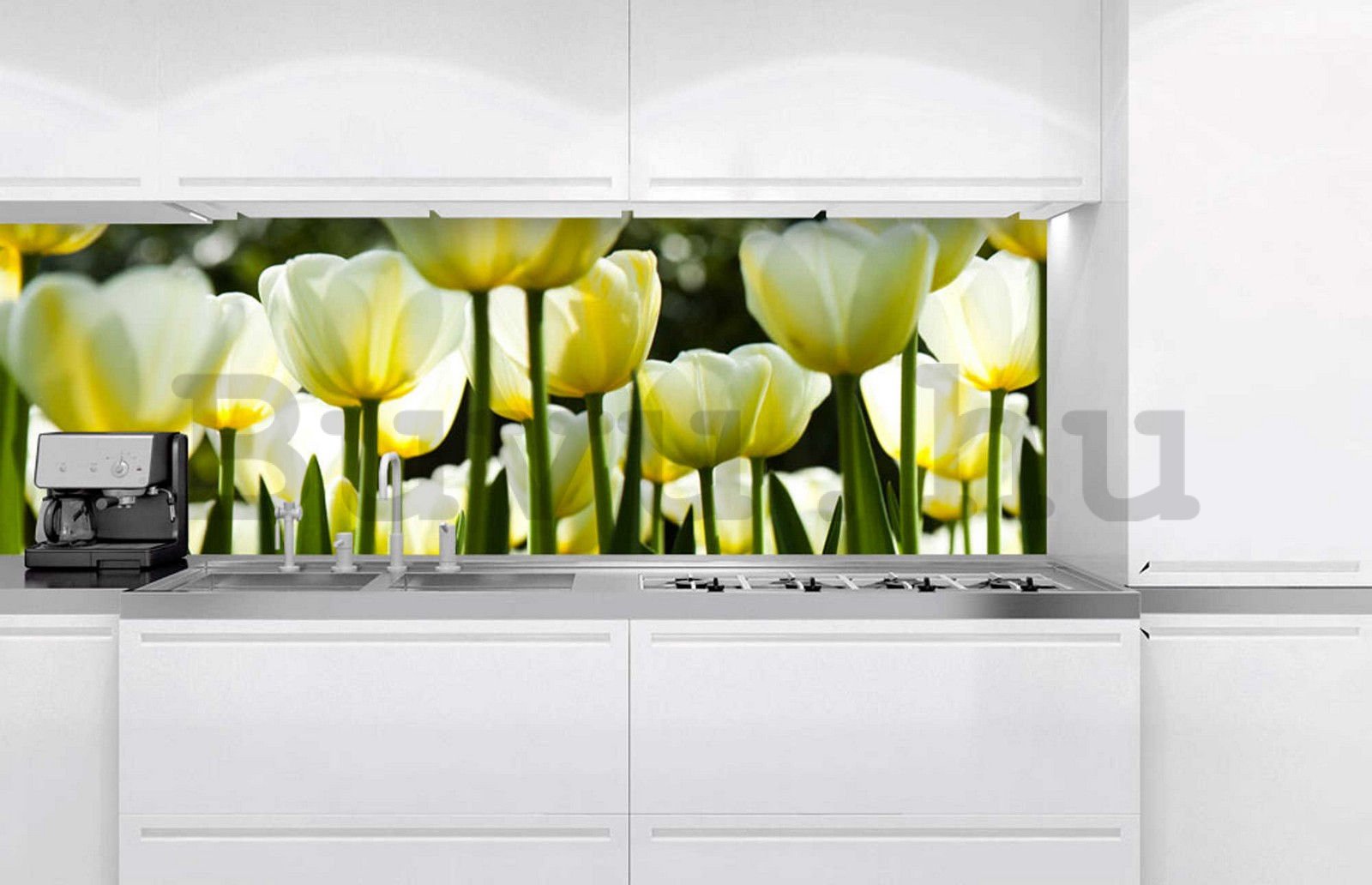Öntapadós mosható fotófotótapéta konyhába - Fehér tulipánok, 180x60 cm