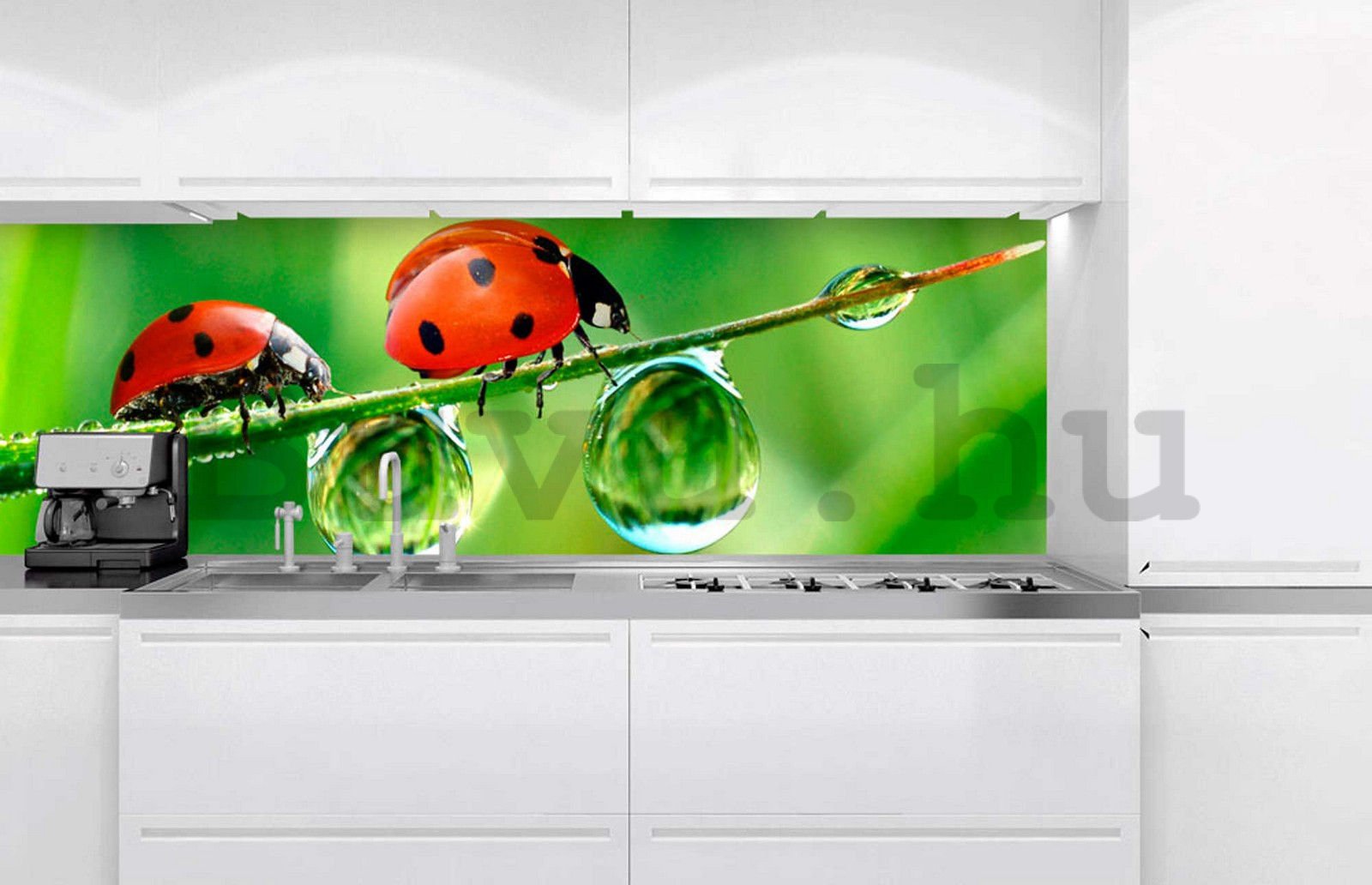 Öntapadós mosható fotófotótapéta konyhába - Katicabogarak, 180x60 cm