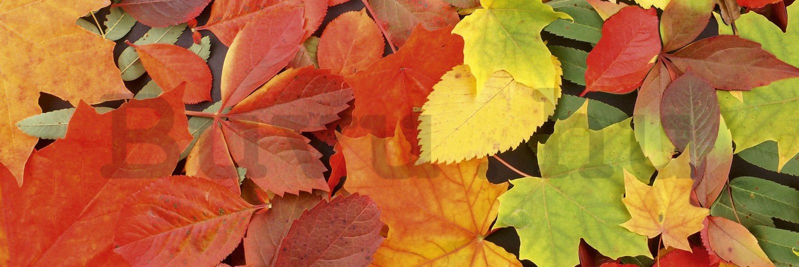 Öntapadós mosható fotótapéta konyhába - Őszi levelek, 180x60 cm