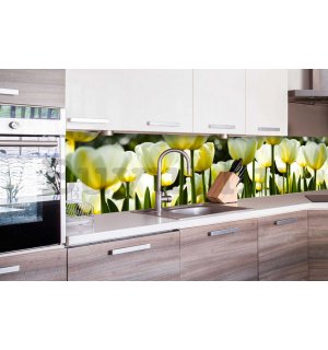 Öntapadós mosható fotófotótapéta konyhába - Fehér tulipánok, 260x60 cm