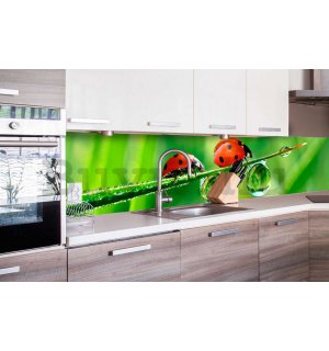 Öntapadós mosható fotófotótapéta konyhába - Katicabogarak, 260x60 cm