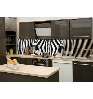Öntapadós mosható fotófotótapéta konyhába - Zebra, 260x60 cm
