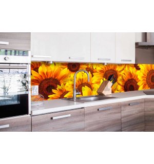 Öntapadós mosható tapéta konyhába - Helianthus, 260x60 cm