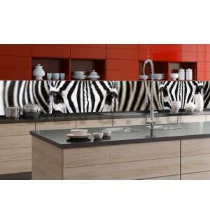 Öntapadós mosható fotófotótapéta konyhába - Zebra, 350x60 cm