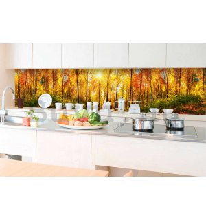 Öntapadós mosható tapéta konyhába - Őszi napsütés az erdőben, 350x60 cm