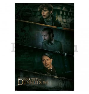 Poster - Fantastic Beasts Secrets of the Dumbledore, Fantastická zvířata Brumbálova tajem