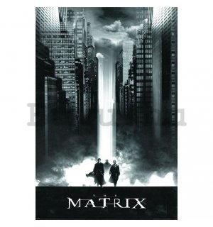 Poster - The Matrix (Lightfall)
