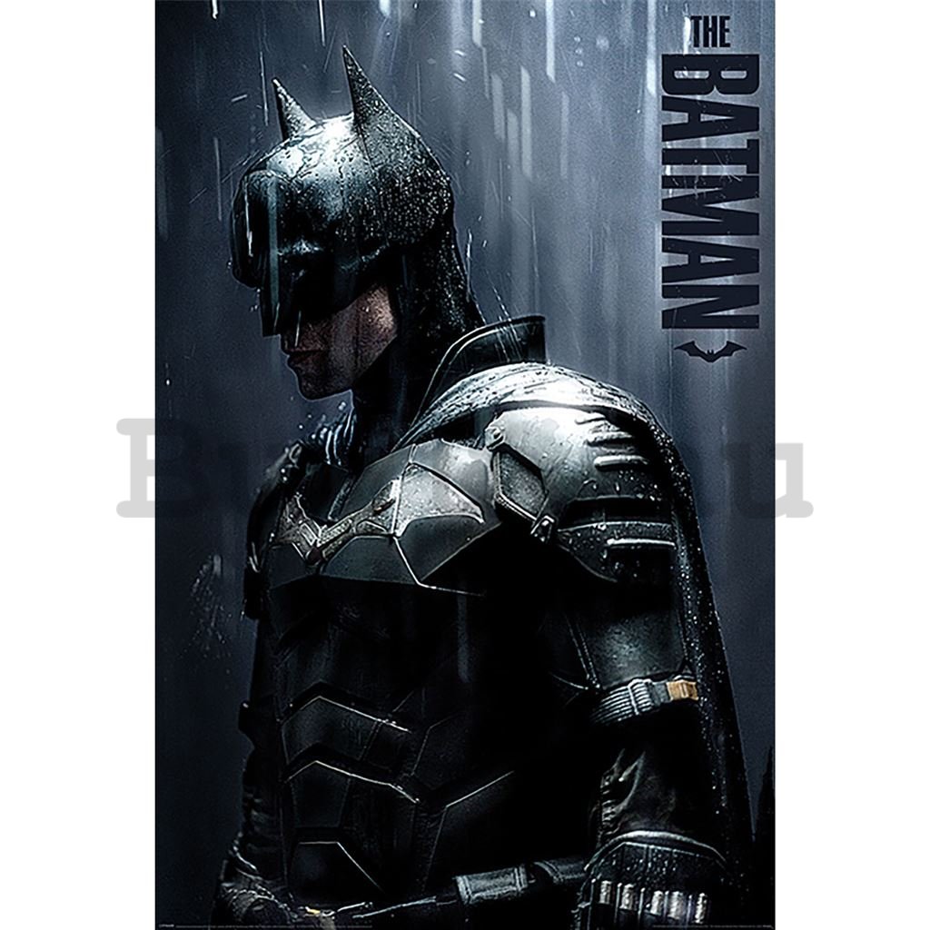 Poster - The Batman (Downpour)