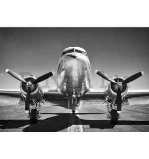 Vlies fotótapéta: Fekete-fehér repülőgépek (1) - 368x254 cm