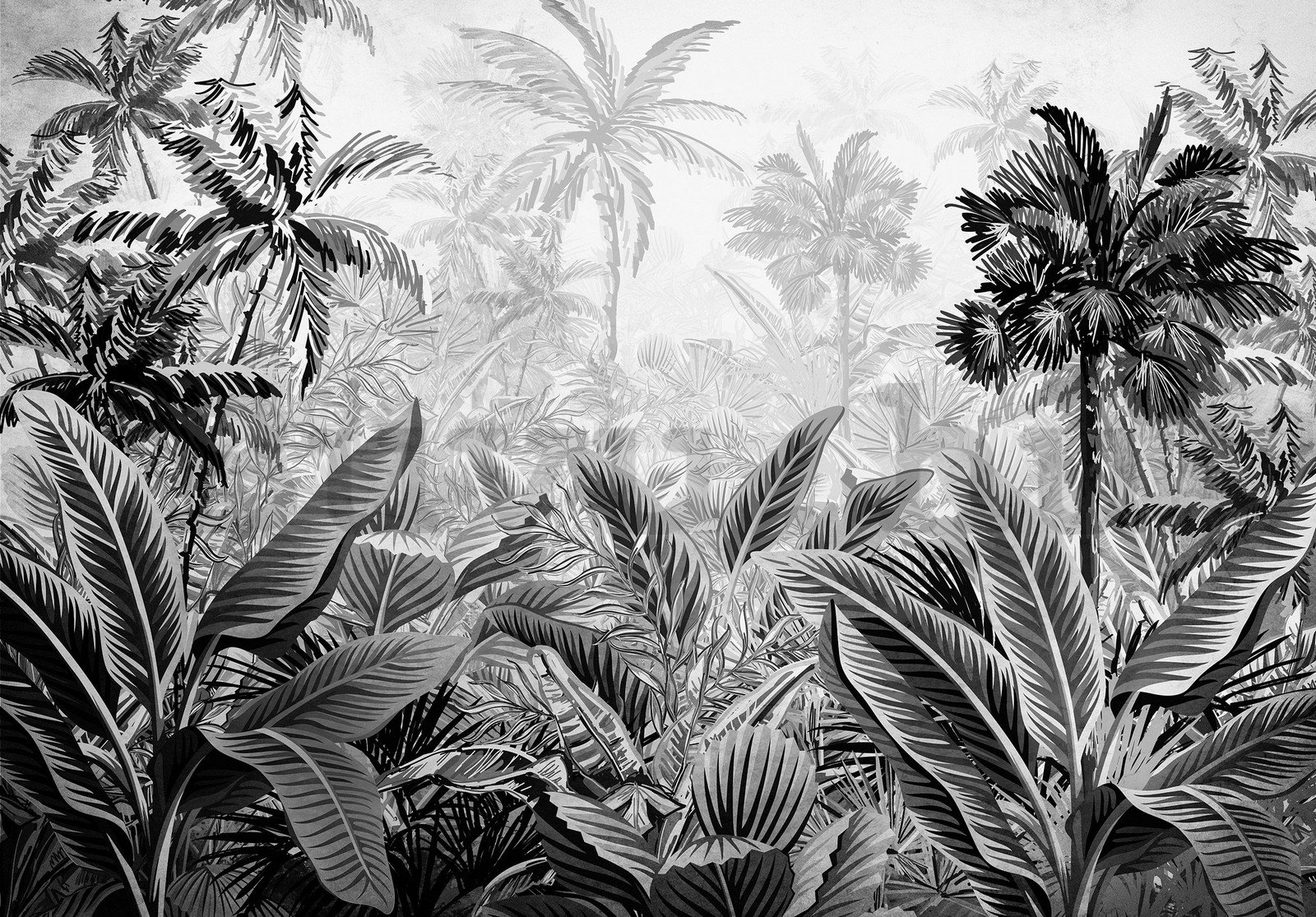 Vlies fotótapéta: Pálmafák és páfrányok (fekete-fehér) - 254x184 cm