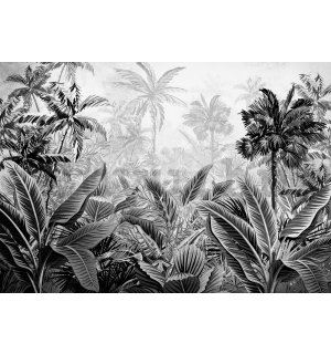 Vlies fotótapéta: Pálmafák és páfrányok (fekete-fehér) - 254x184 cm