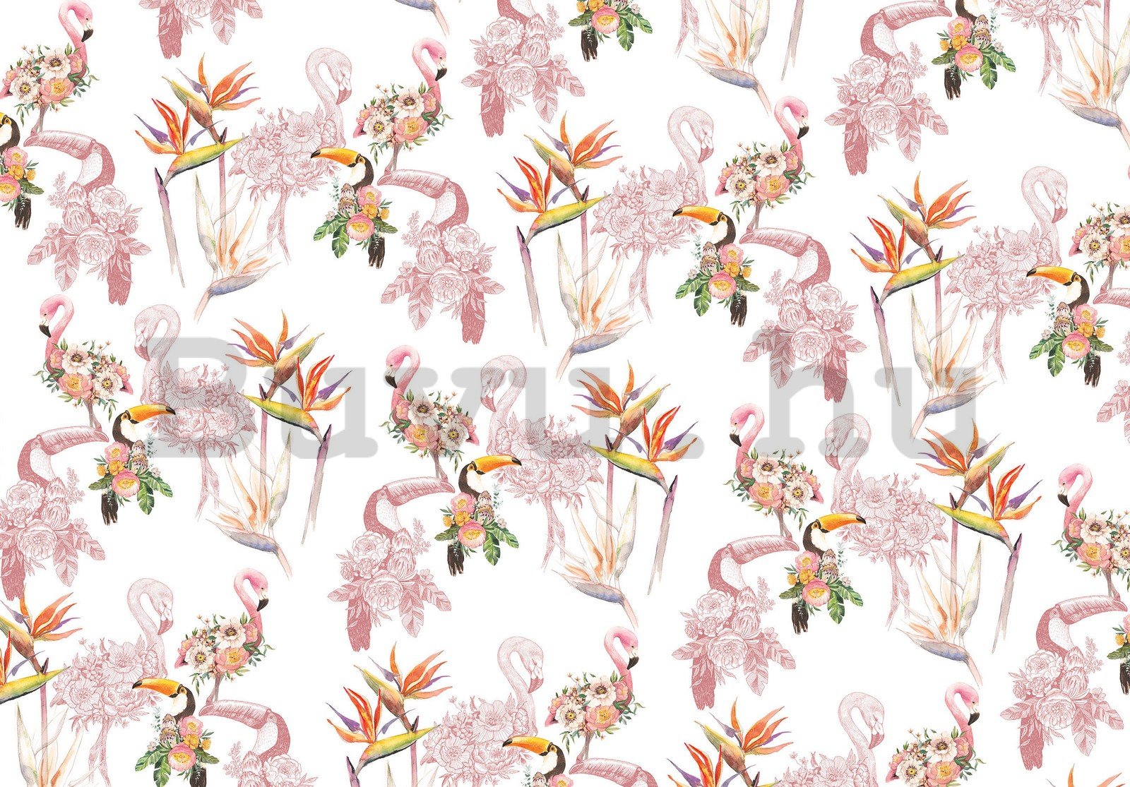 Vlies fotótapéta: Flamingók és tukánok - 254x184 cm