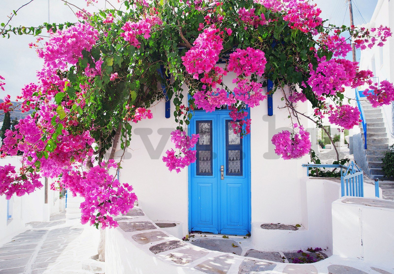 Vlies fotótapéta: Görög utcai virágok (1) - 254x184 cm