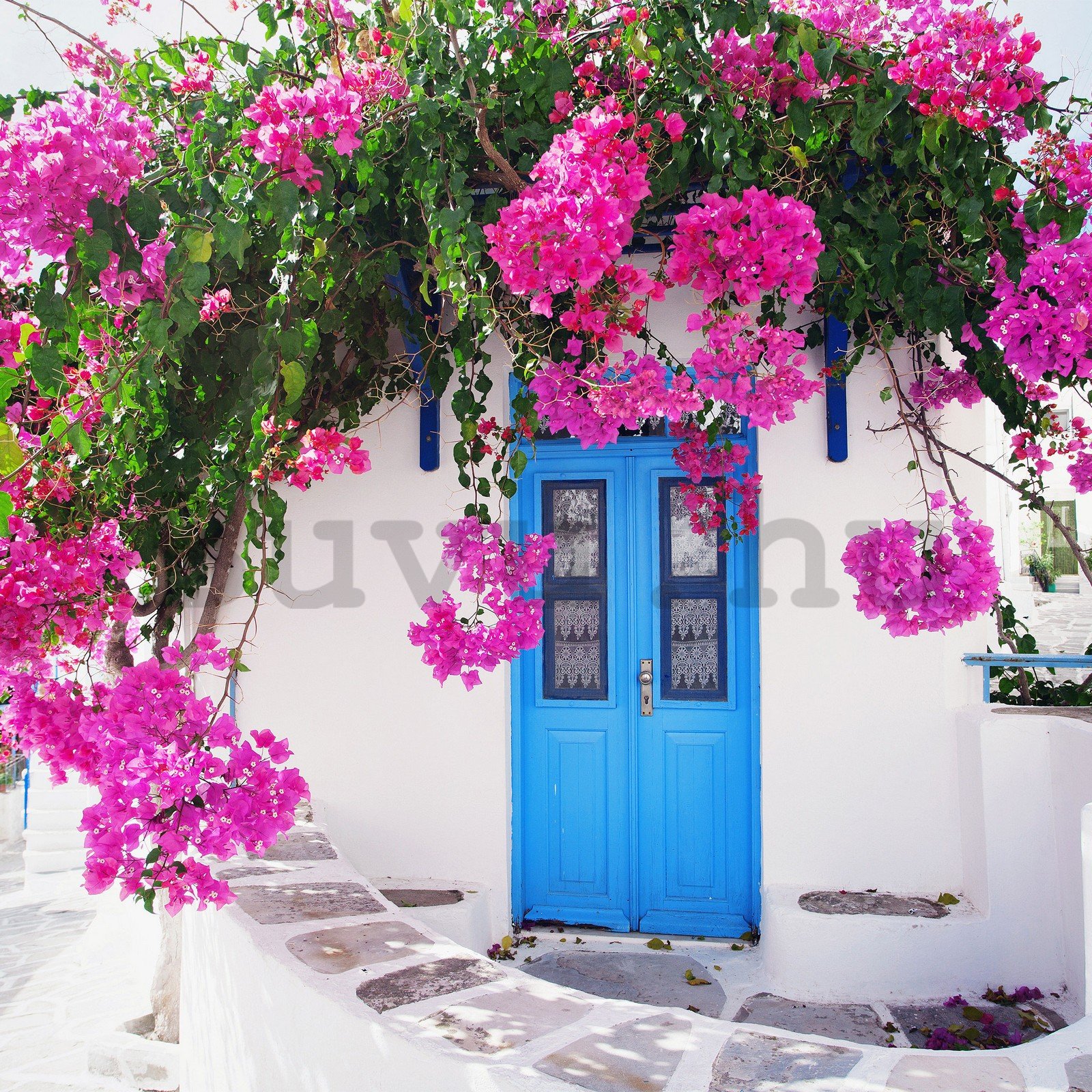 Vlies fotótapéta: Görög utcai virágok (1) - 368x254 cm
