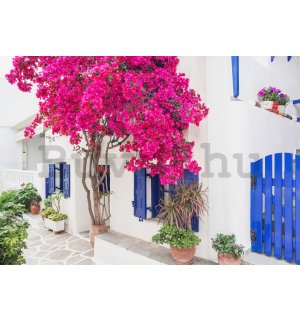 Vlies fotótapéta: Görög utcai virágok (3) - 368x254 cm