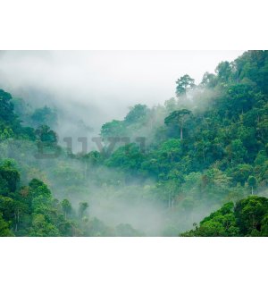 Vlies fotótapéta: Esőerdő - 152,5x104 cm