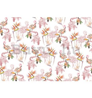 Vlies fotótapéta: Flamingók és tukánok - 416x254 cm