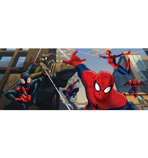 Fotótapéta: Spiderman (2) - 104x250 cm