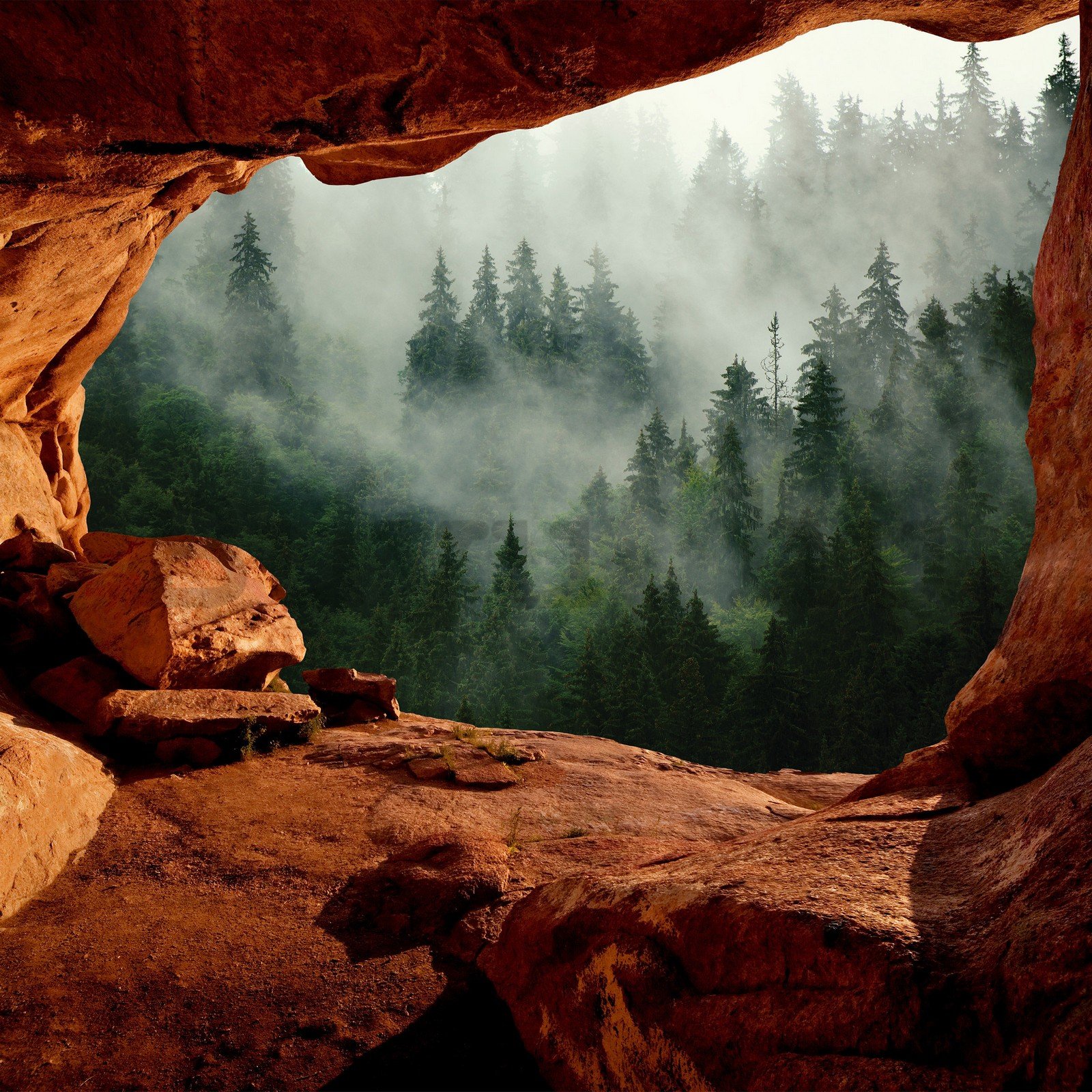 Vlies fotótapéta: Egy barlang az erdő mellett - 416x254 cm