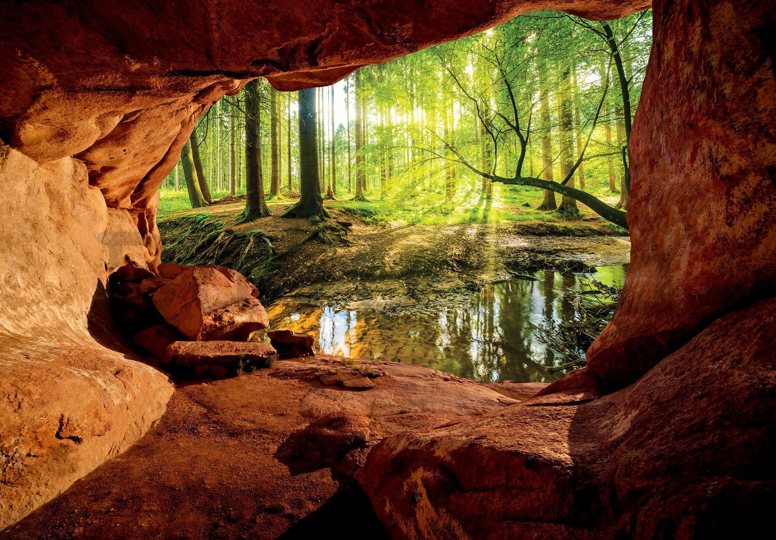 Vlies fotótapéta: Barlang az ártéri erdő mellett - 416x254 cm