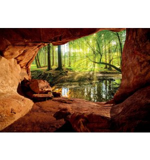 Vlies fotótapéta: Barlang az ártéri erdő mellett - 416x254 cm
