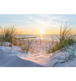 Vlies fotótapéta: Balti tengerpart - 368x254 cm