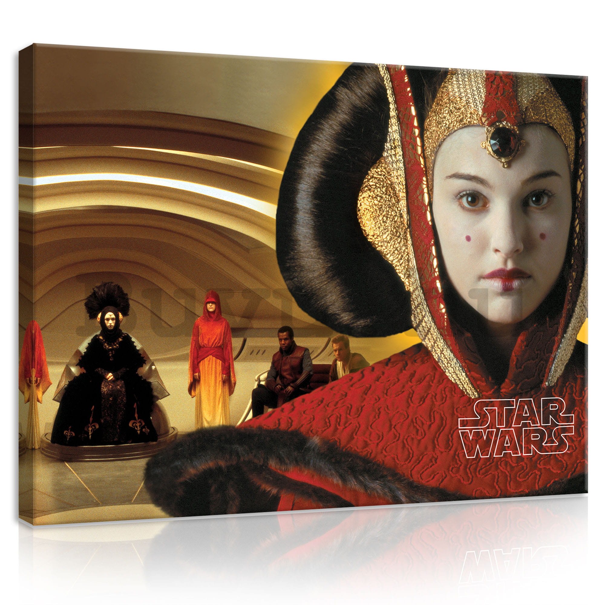 Vászonkép: Star Wars (Amidala hercegnő) - 100x75 cm