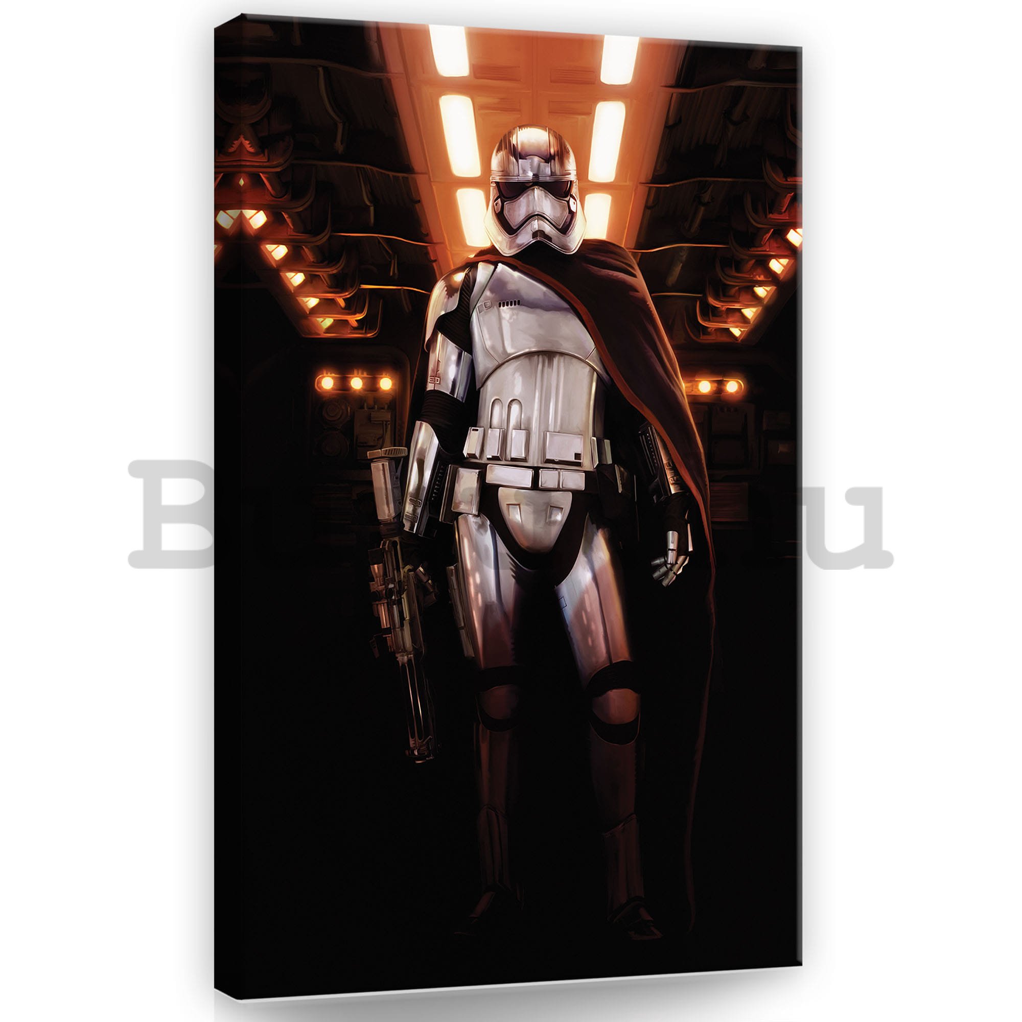Vászonkép: Star Wars Captain Phasma (1) - 40x60 cm