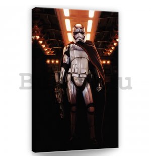 Vászonkép: Star Wars Captain Phasma (1) - 40x60 cm