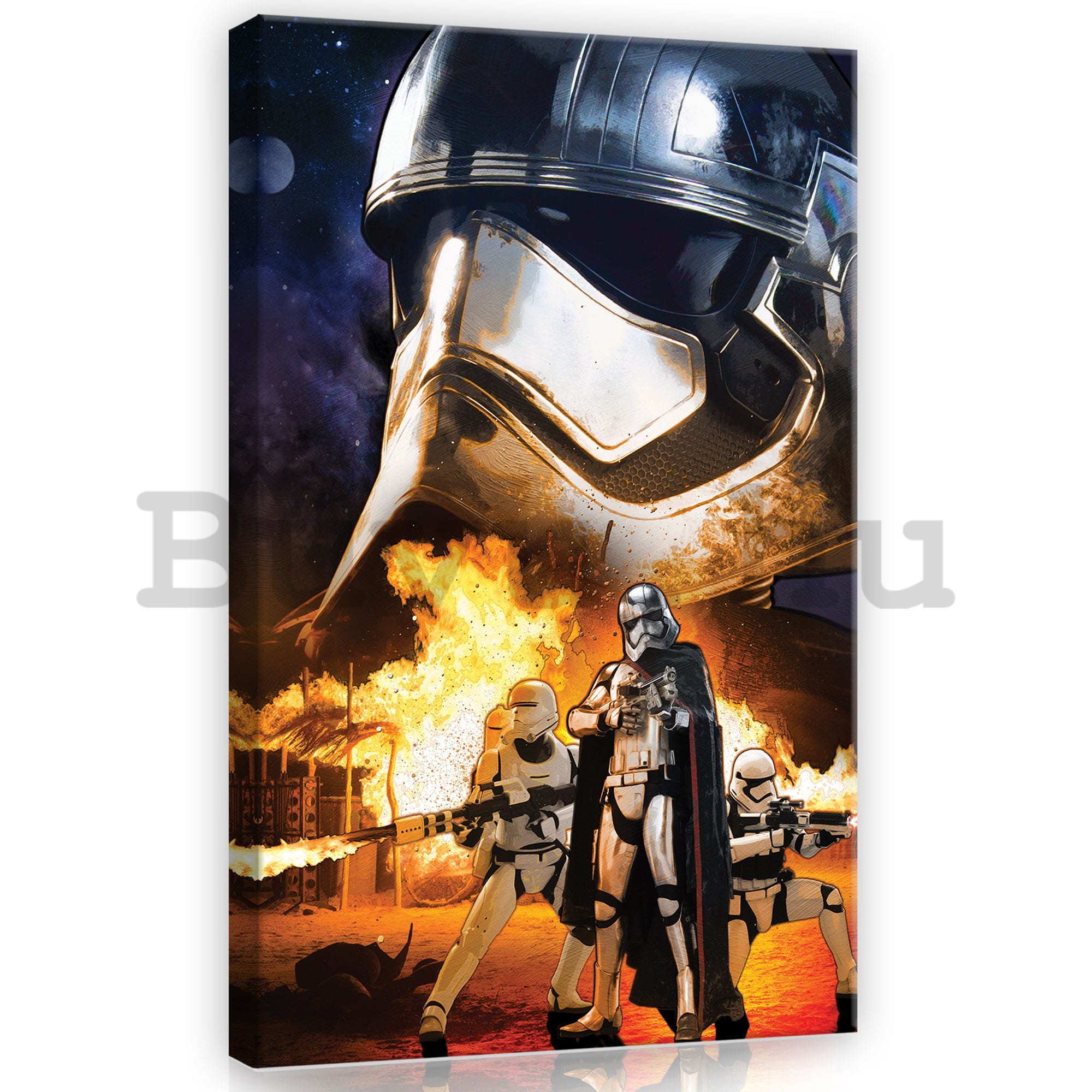 Vászonkép: Star Wars Captain Phasma - 40x60 cm