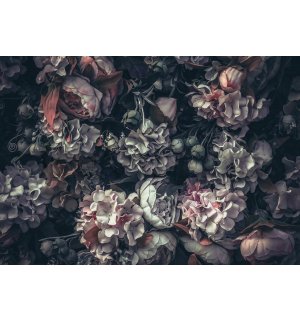 Vlies fotótapéta: Virágkombináció (2) - 460x300 cm