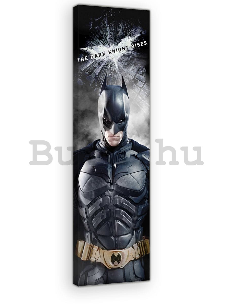 Vászonkép: Dark Knight (5) - 45x145 cm