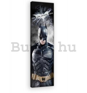 Vászonkép: Dark Knight (5) - 45x145 cm