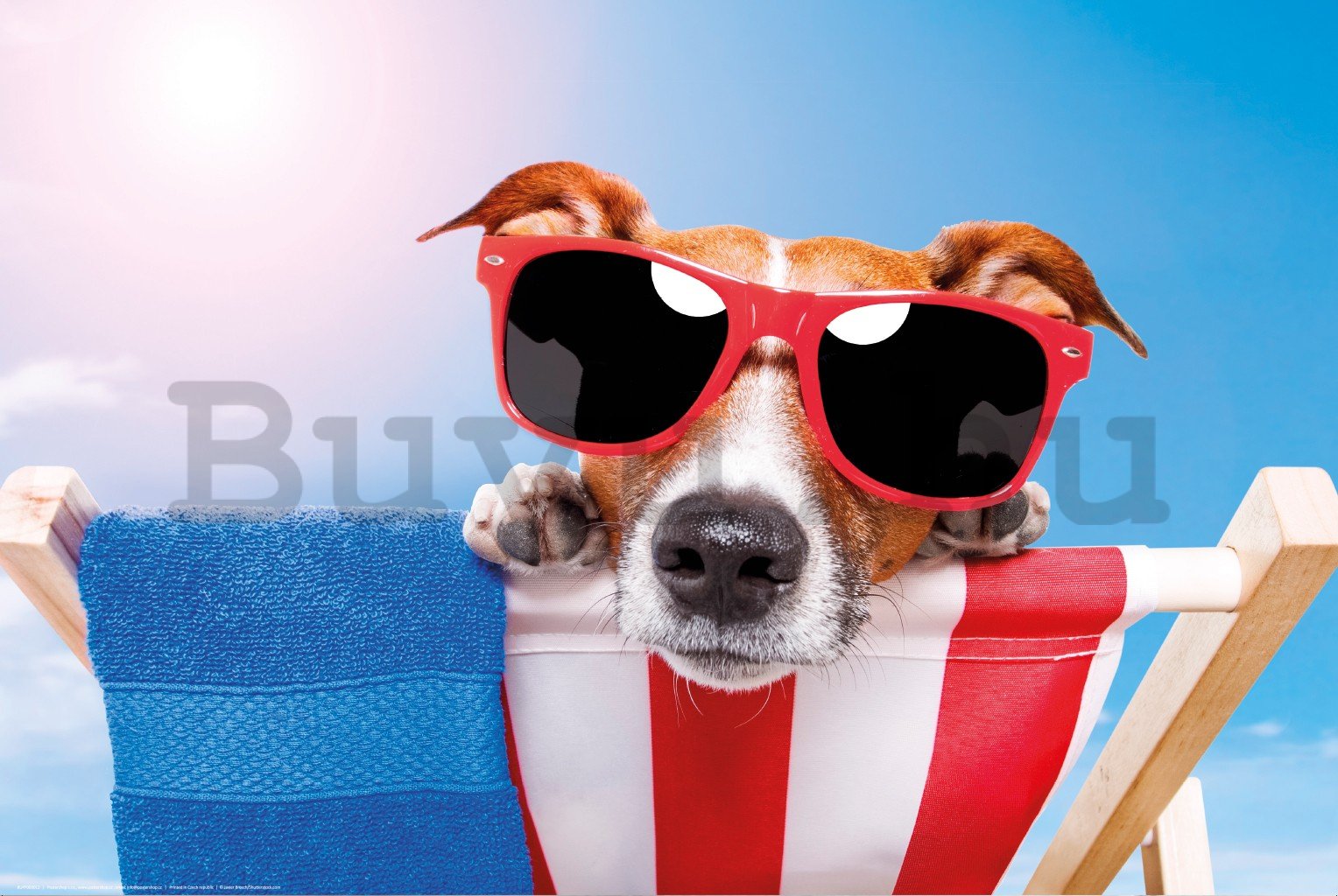 Poster: Jack Russell Terrier (kényelem a tengerparton)