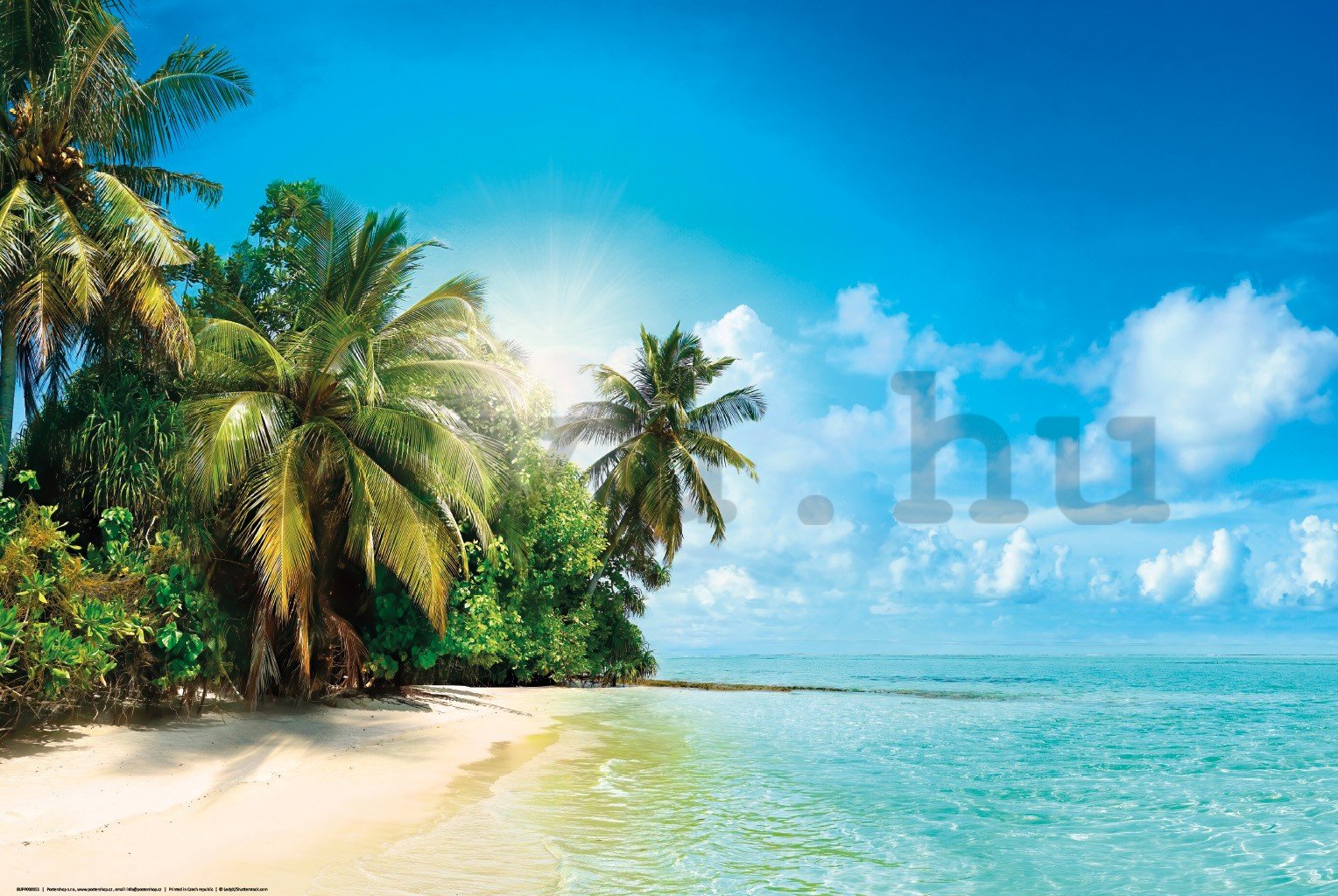 Poster: Napos trópusi tengerpart