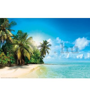 Poster: Napos trópusi tengerpart
