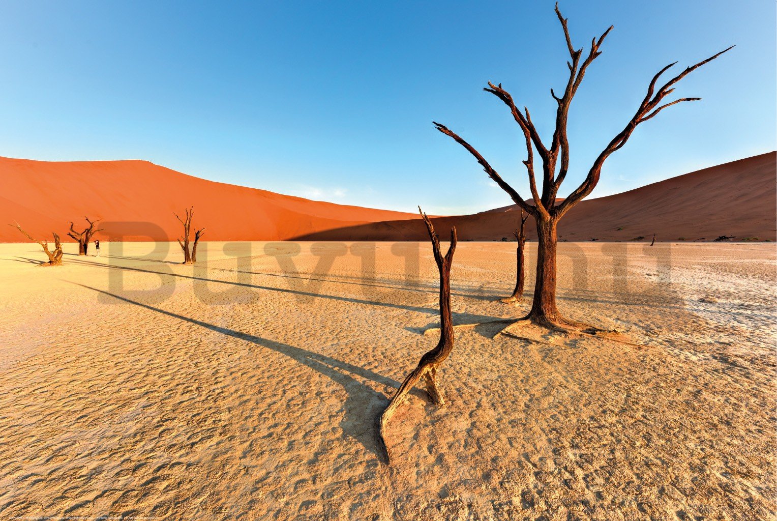 Poster: Száraz Namíb-sivatag