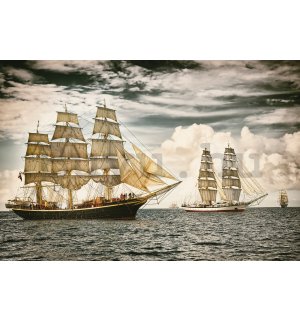 Poster: Történelmi vitorlás hajók