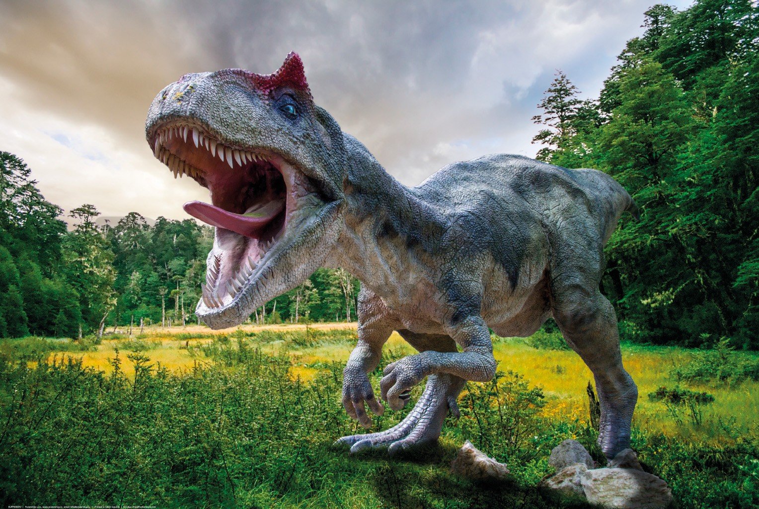 Poster: Angry tyrannosaurus
