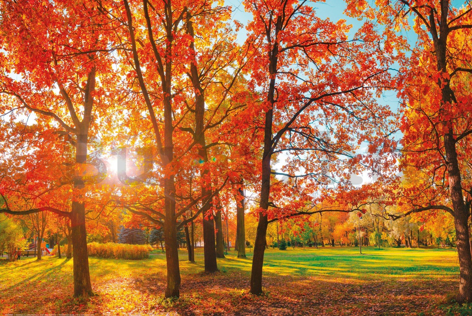 Poster: A nap az őszi parkban