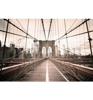 Poster: Utazás a Brooklyn hídon át