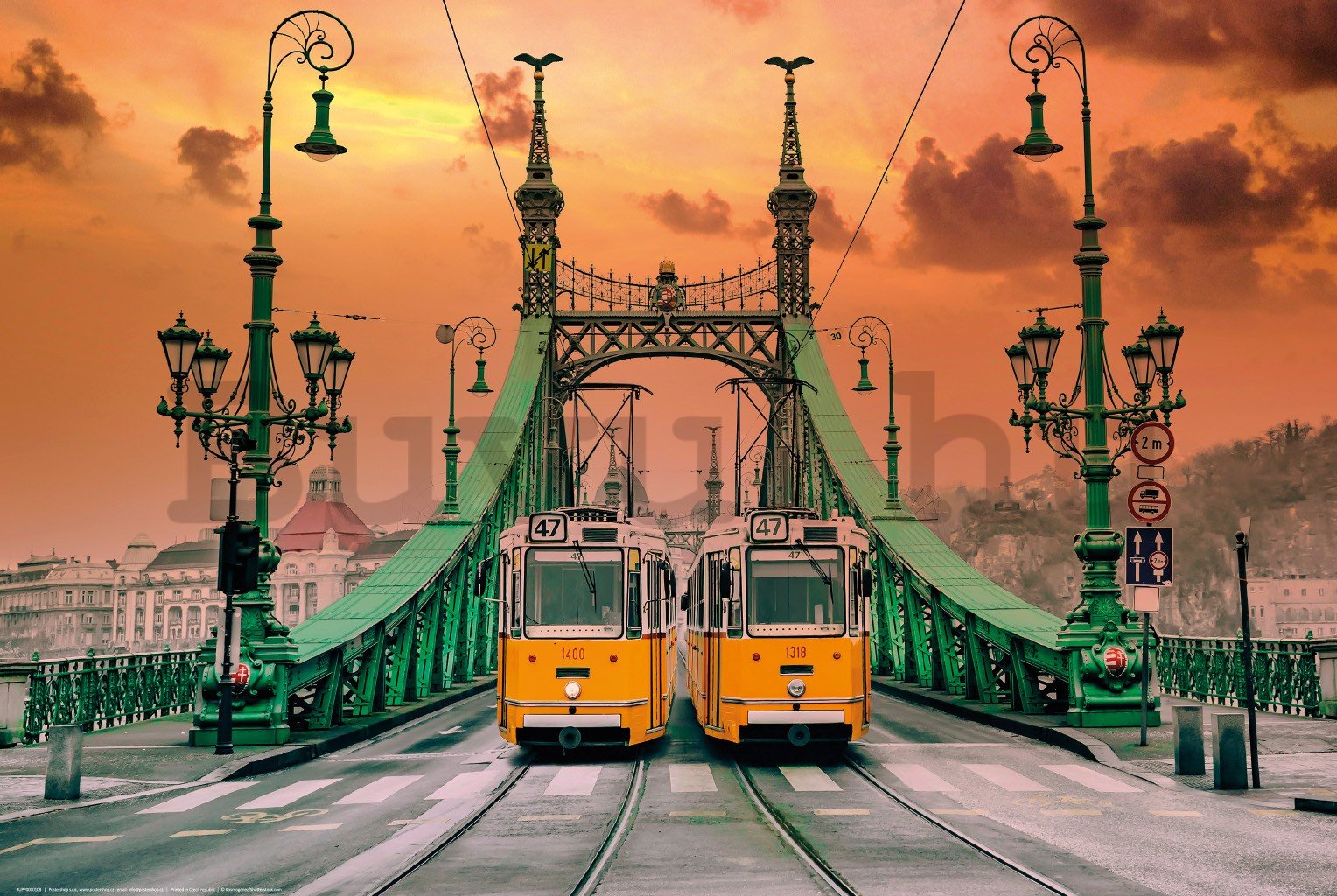 Poster: Villamosok a Szabadság hídon, Budapest