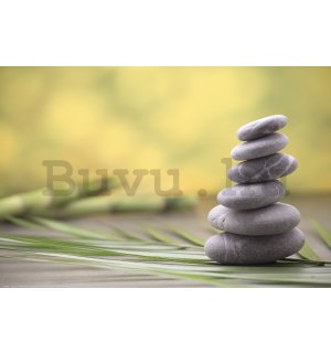 Poster: Zen kövek és bambusz