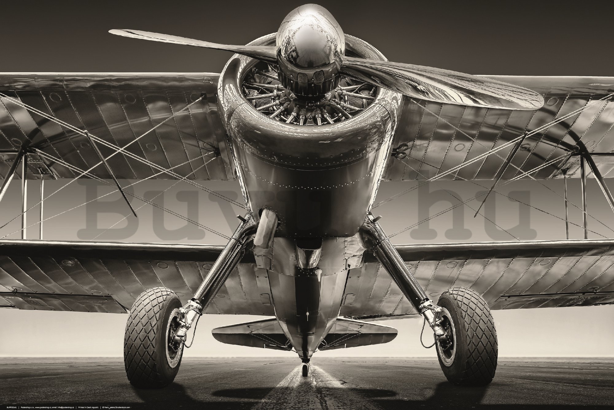 Poster: A kétfedelű repülőgép látképe