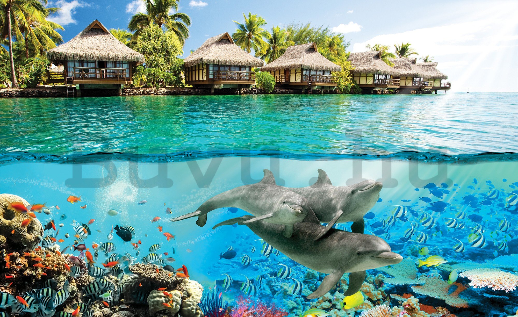 Fotótapéta: Víz alatti világ a paradicsomban - 368x254 cm