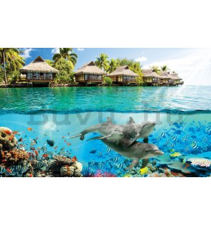 Fotótapéta: Víz alatti világ a paradicsomban - 368x254 cm