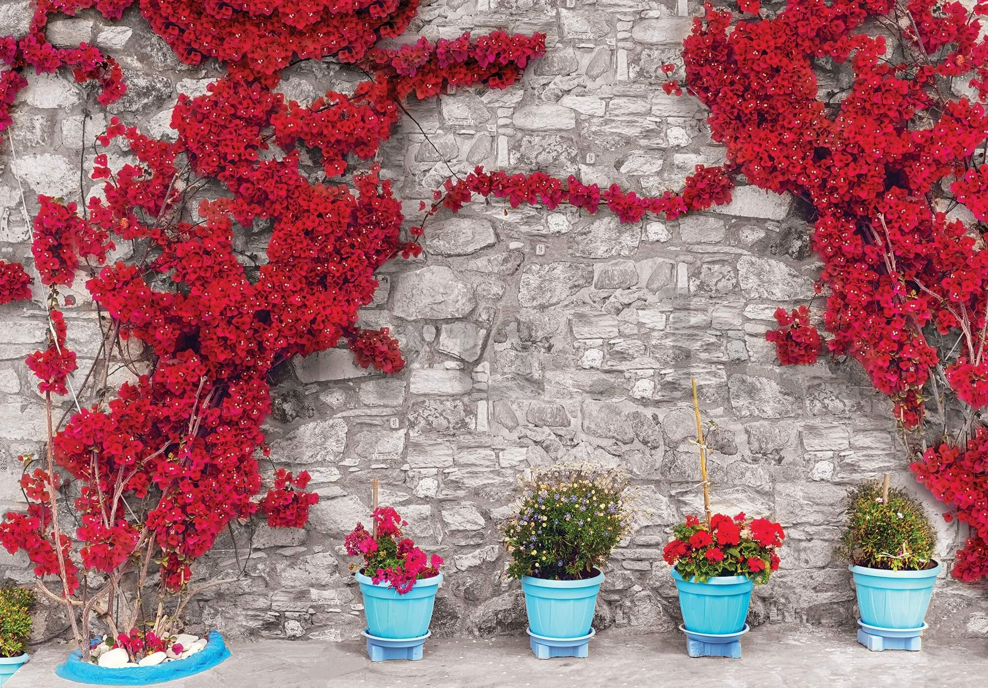 Vlies fotótapéta: Piros virágos fal (1) - 416x254 cm