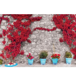 Vlies fotótapéta: Piros virágos fal (1) - 416x254 cm