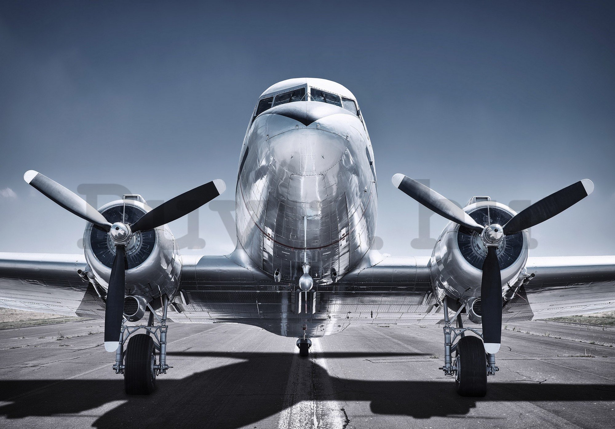 Fotótapéta: Történelmi repülőgép - 368x254cm