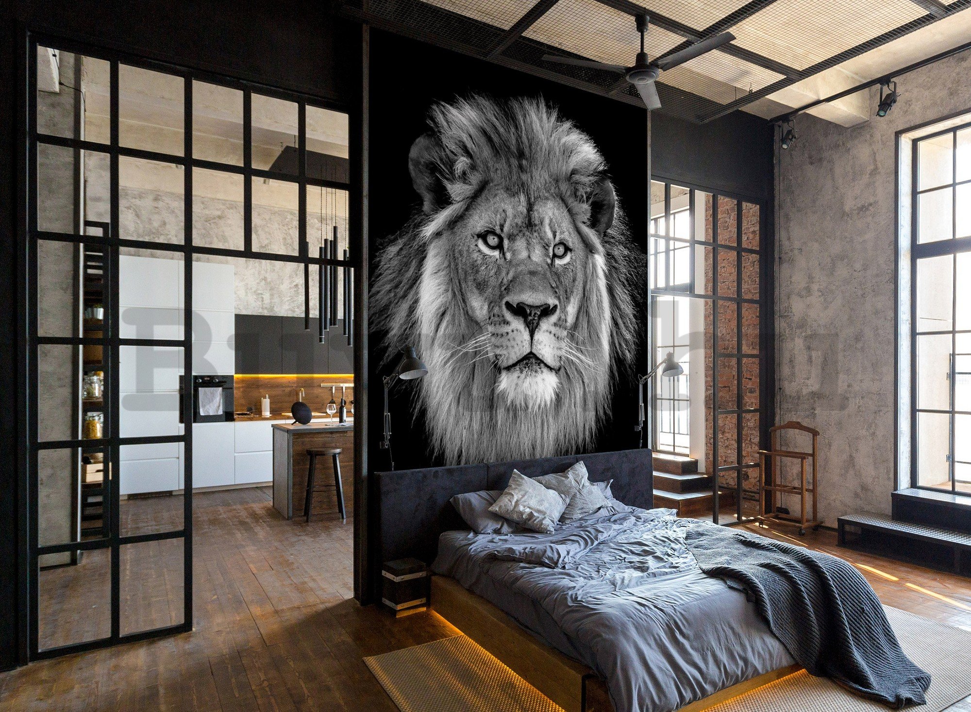 Vlies fotótapéta: Fekete-fehér oroszlán - 152,5x104 cm